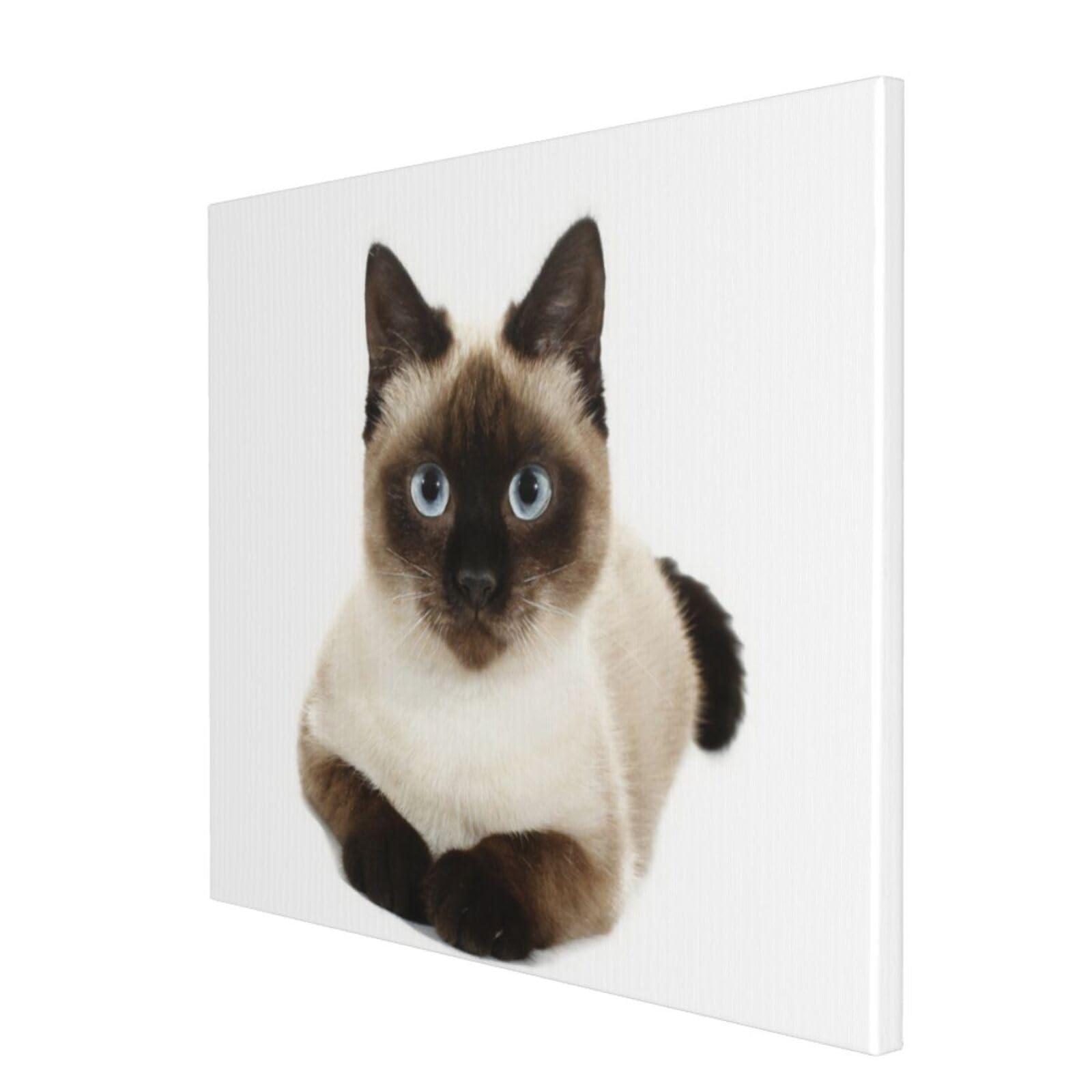 シャム猫　水彩画　アート　壁掛けアート　猫　猫アート Amazon.co.jp: Chioee アートパネル ポスター 絵画 シャム猫